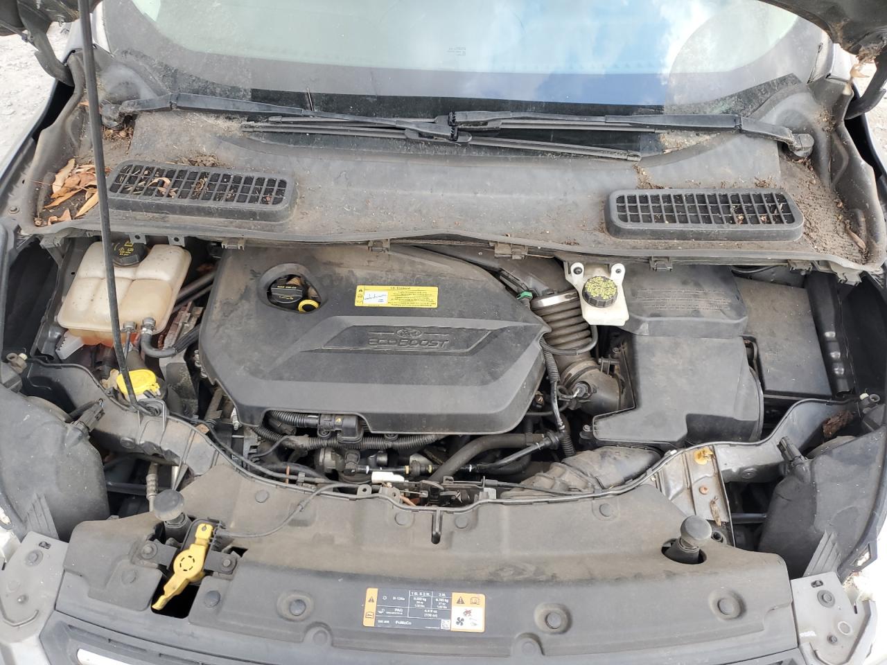 2014 Ford Escape - Image 12
