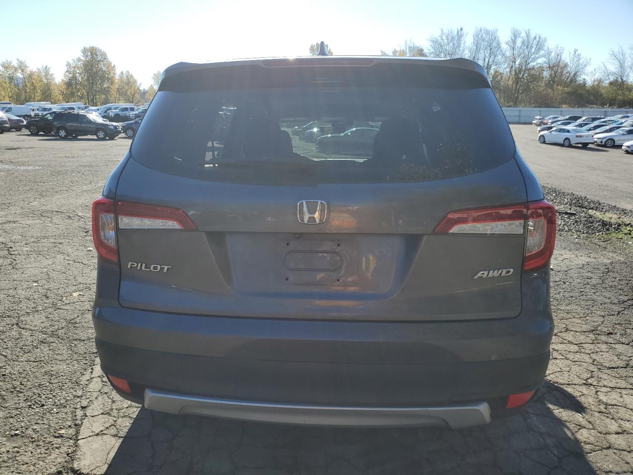 2019 Honda Pilot Exl VIN: 5FNYF6H55KB100118 Lot: 79684334