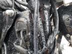 2016 HARLEY-DAVIDSON FXDLS  a la Venta en Copart IL - CHICAGO NORTH