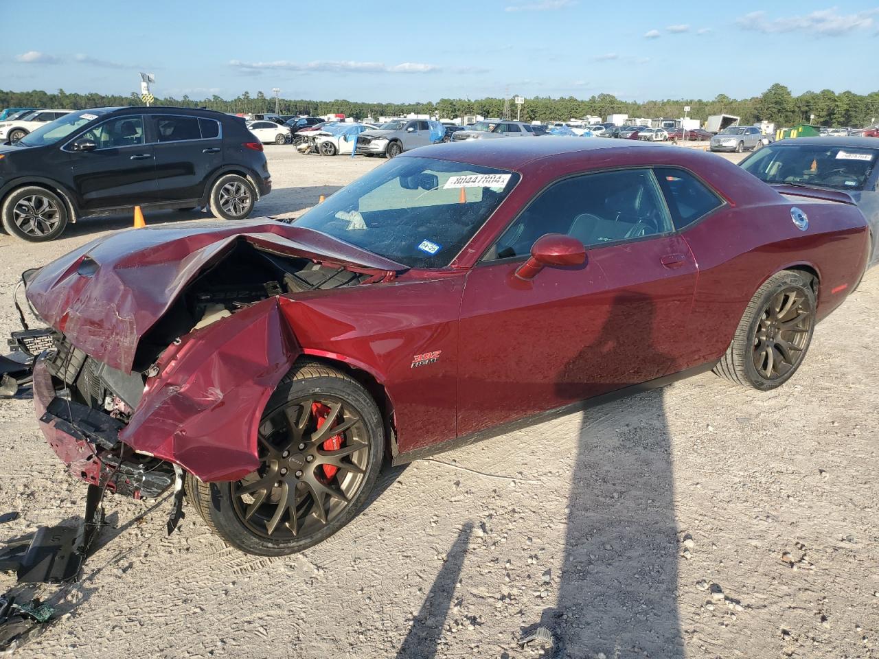 2018 Dodge Challenger - Image 1