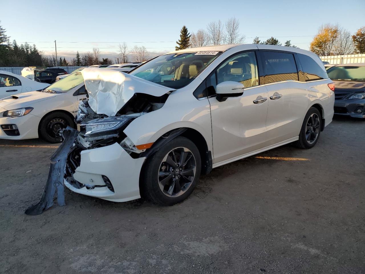 2022 Honda Odyssey - Image 1