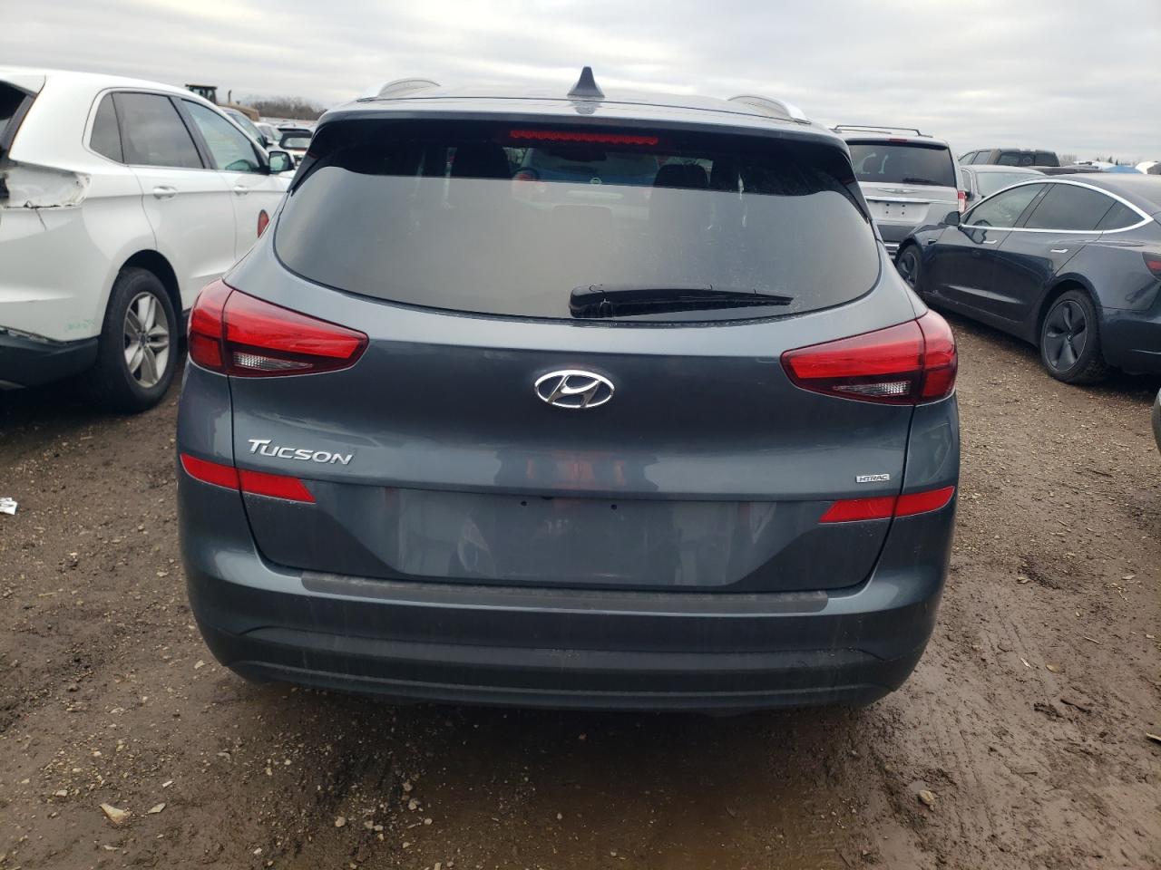 2019 Hyundai Tucson Limited VIN: KM8J3CA4XKU033397 Lot: 81318134