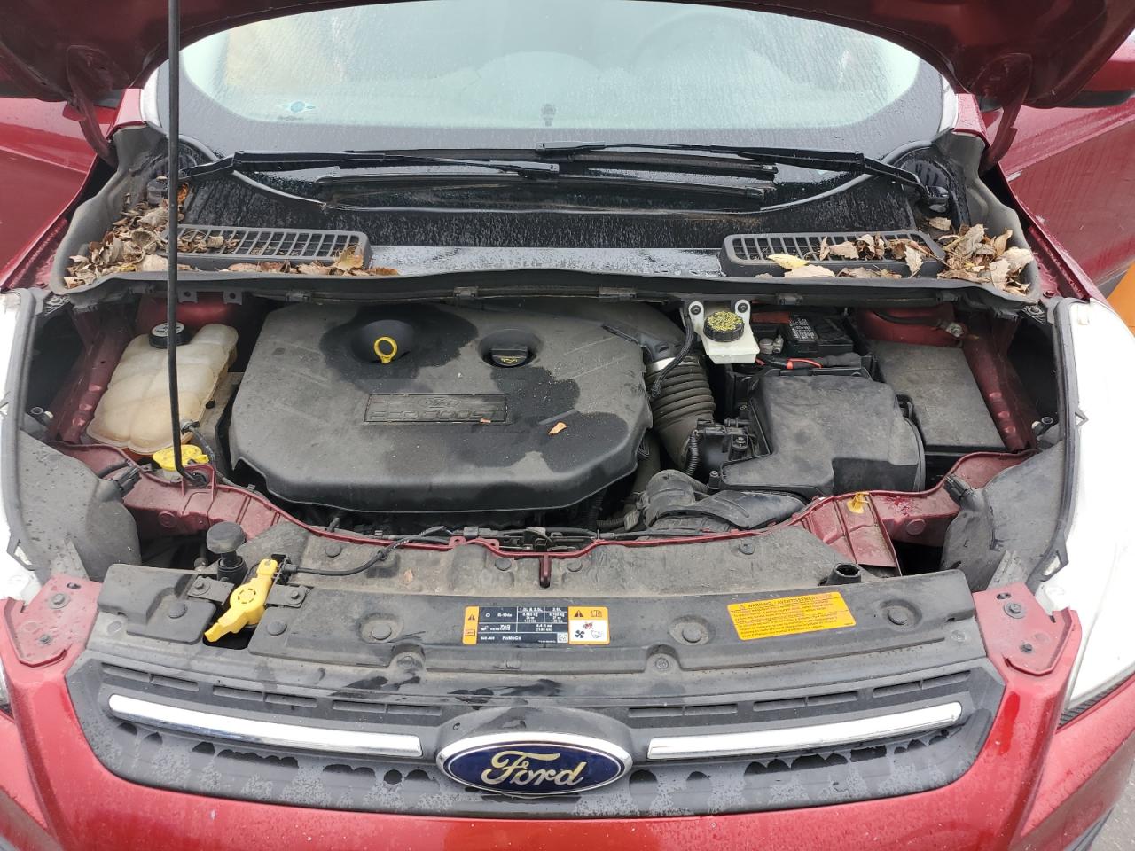 2013 Ford Escape - Image 12