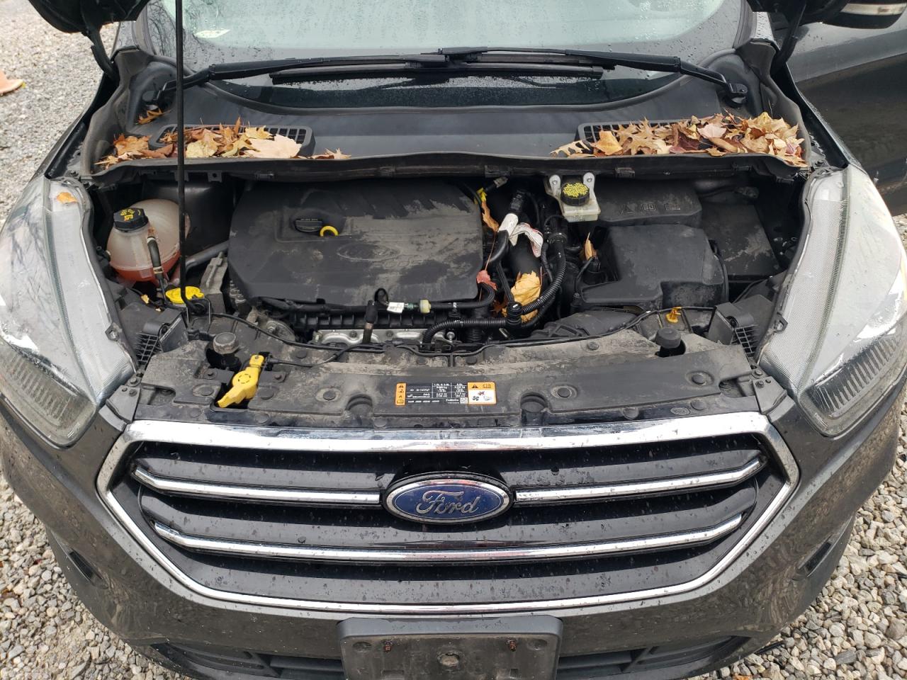 2017 Ford Escape Titanium VIN: 1FMCU0JDXHUB50474 Lot: 81124704