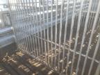 2022 Hors Horsetrail продається в Prairie Grove, AR - All Over