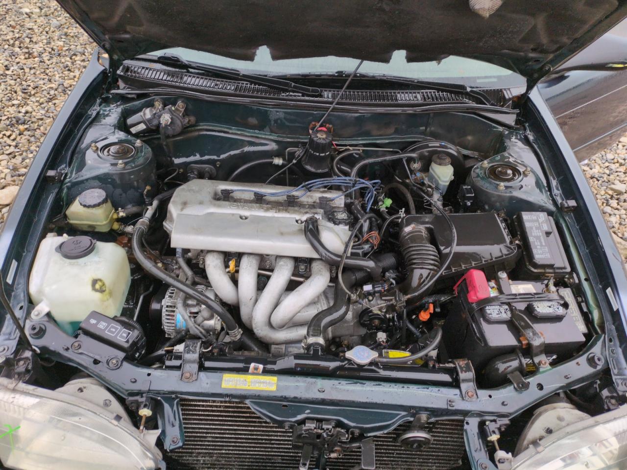 1999 Toyota Corolla - Image 11