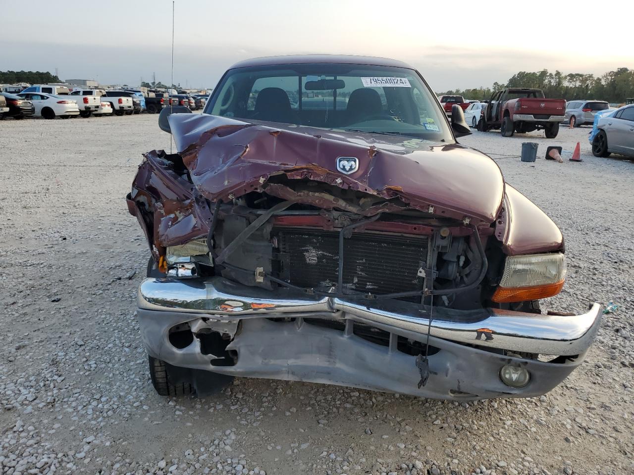 2003 Dodge Dakota - Image 5