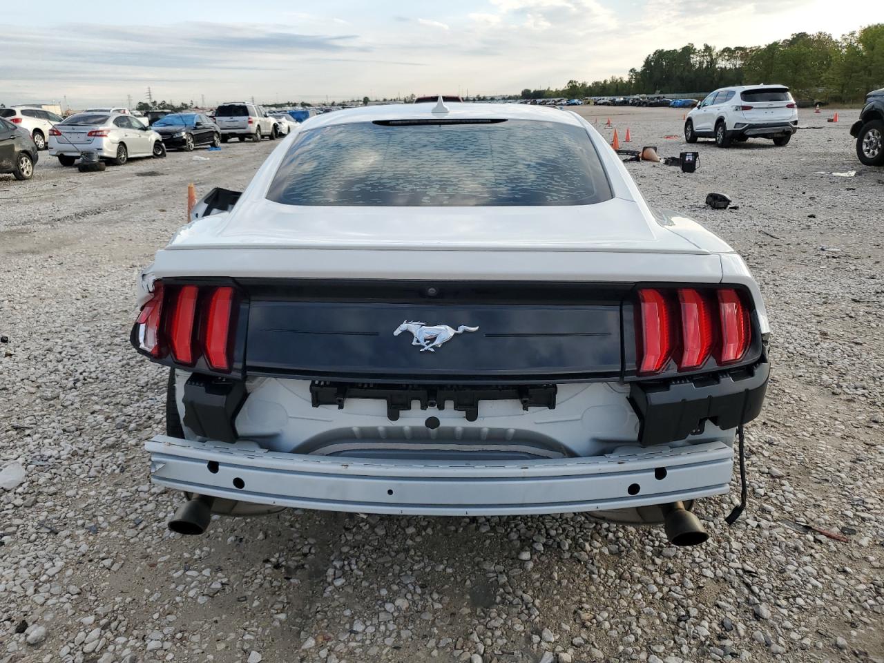 2020 Ford Mustang VIN: 1FA6P8TH9L5150224 Lot: 77413374