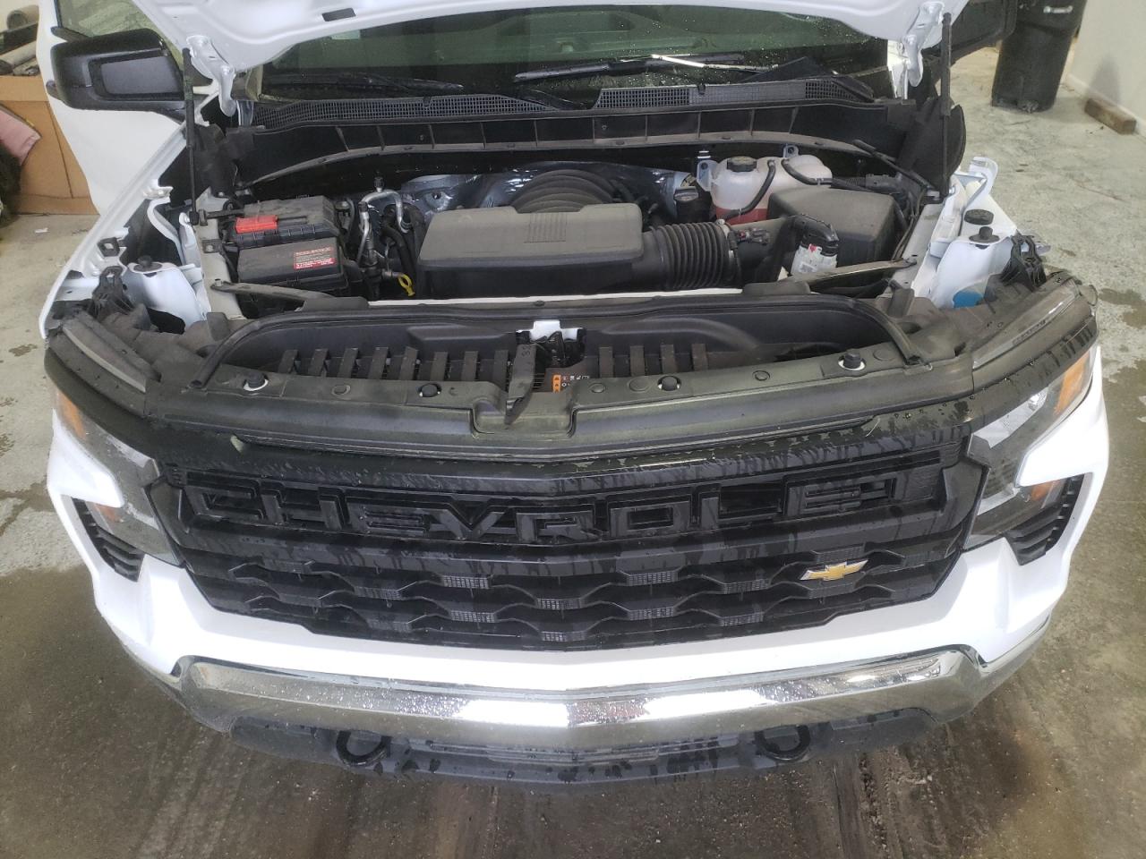 2024 Chevrolet Silverado C1500 VIN: 3GCNAAED7RG368768 Lot: 79246994