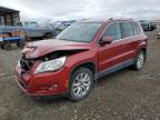 2009 Volkswagen Tiguan Se на продаже в Helena, MT - Front End