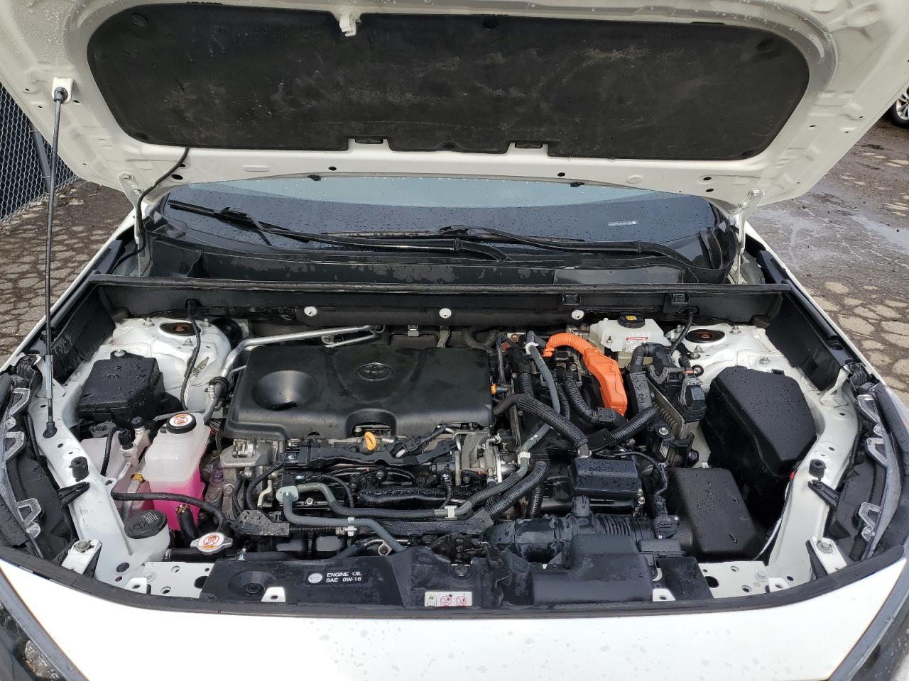 2020 Toyota Rav4 Le VIN: 2T3MWRFV2LW095183 Lot: 79189614