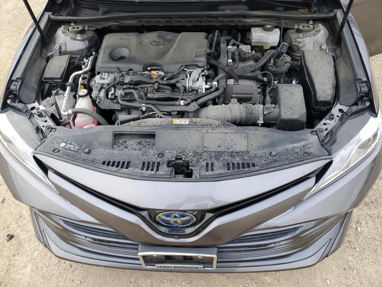 2019 Toyota Camry Hybrid VIN: 4T1B21HK0KU514825 Lot: 81795414