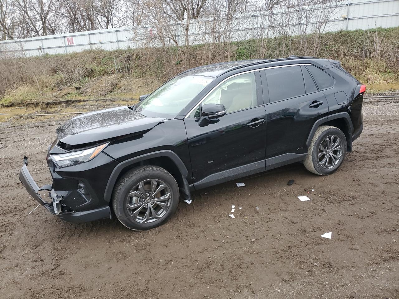 2023 Toyota RAV 4 - Image 1