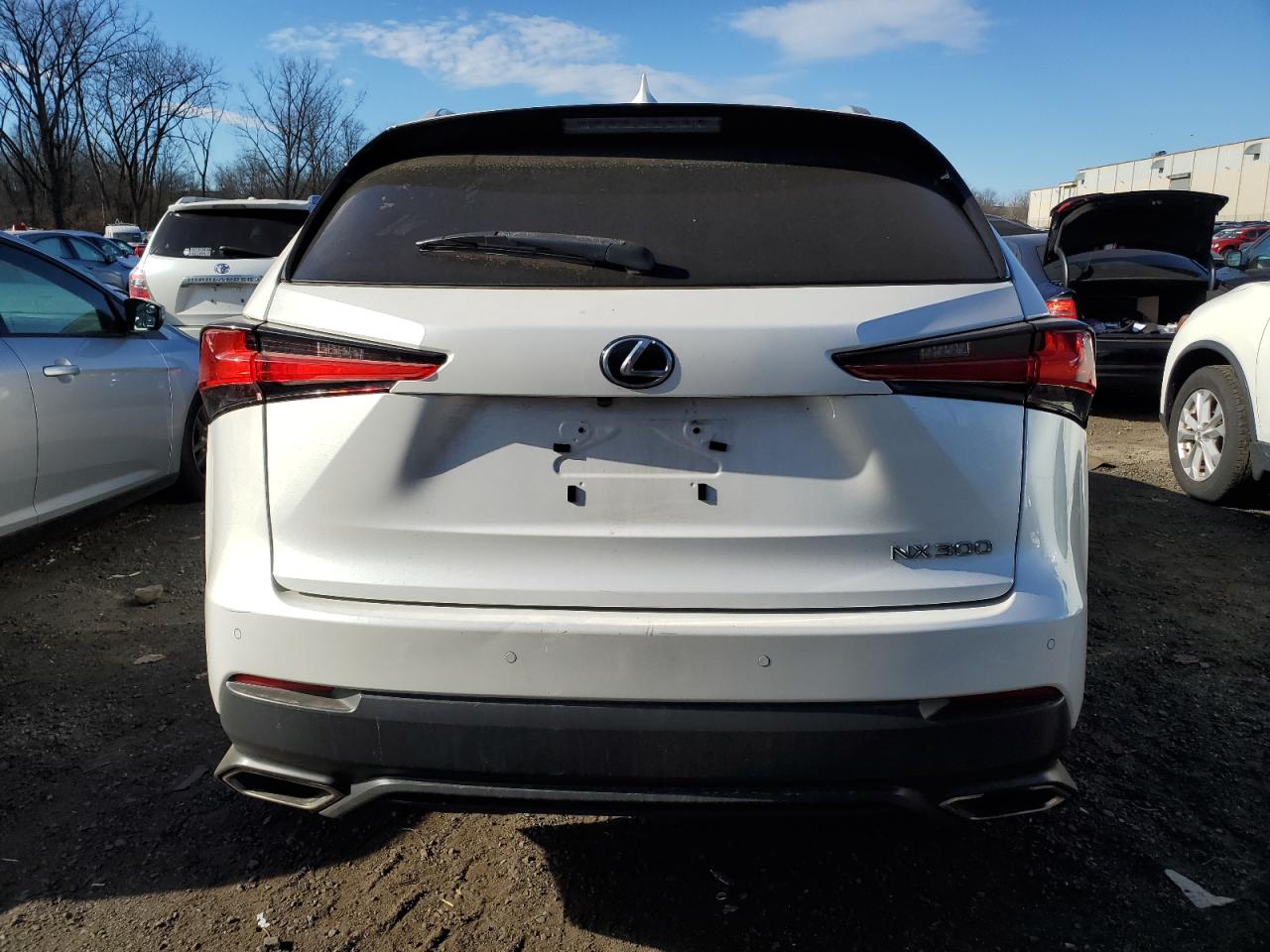 2019 Lexus NX - Image 6