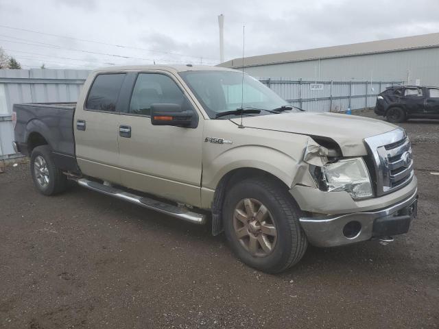 2009 FORD F150 SUPERCREW