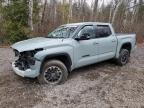 2022 TOYOTA TUNDRA CREWMAX SR for sale at Copart ON - COOKSTOWN