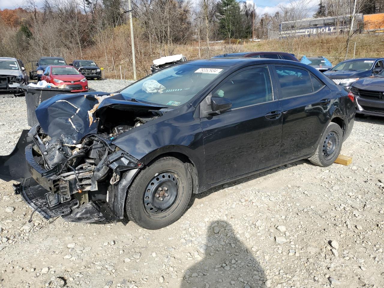 2019 Toyota Corolla - Image 1