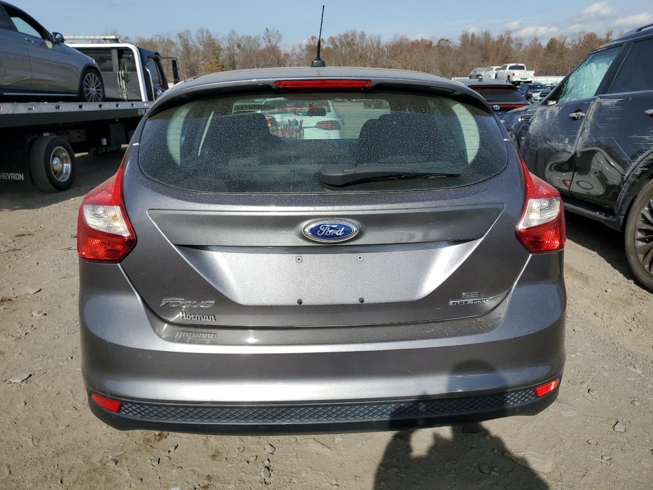 2014 Ford Focus Se VIN: 1FADP3K21EL135674 Lot: 79100274