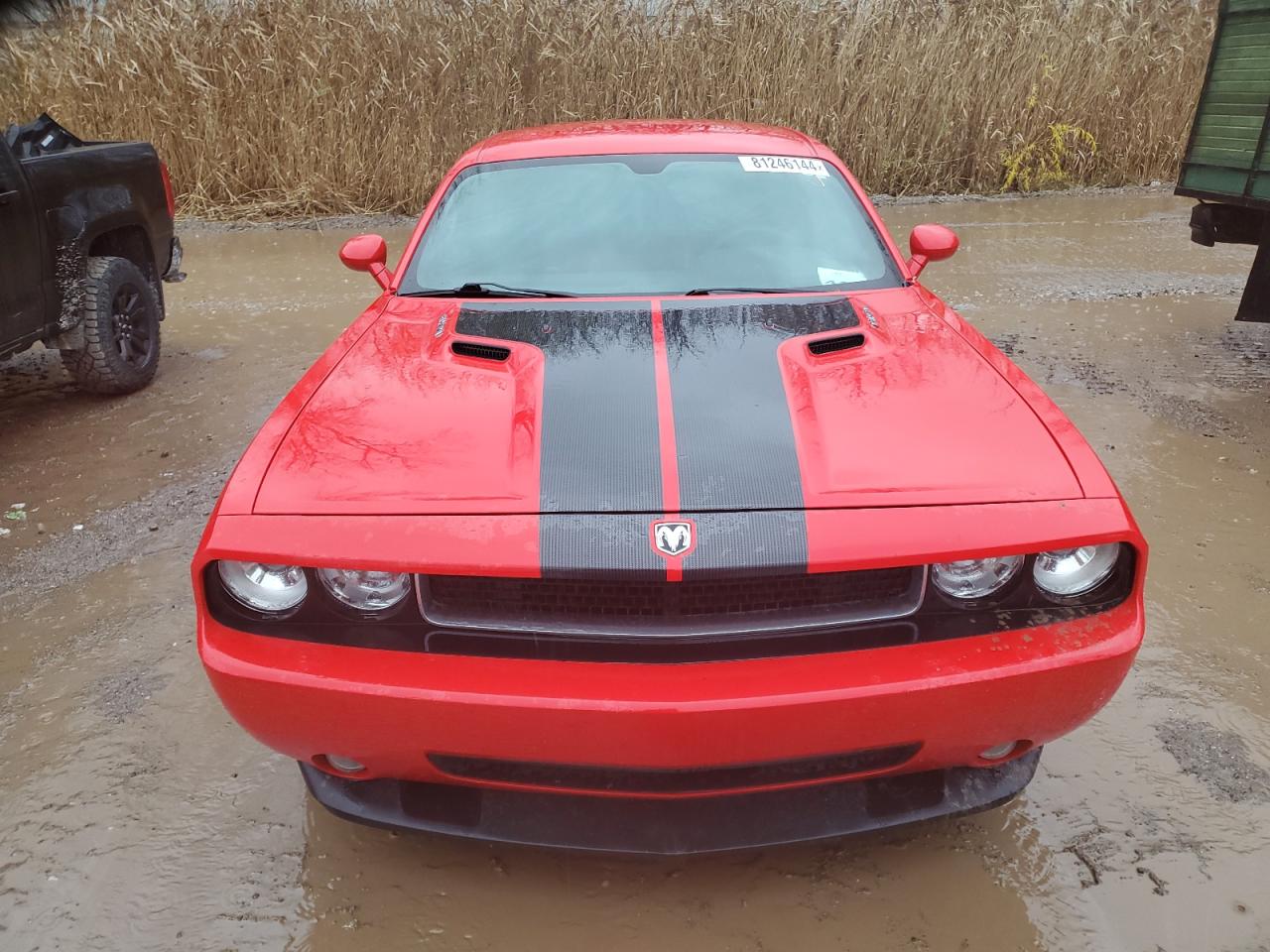 2009 Dodge Challenger Srt-8 VIN: 2B3LJ74W29H580587 Lot: 81246144