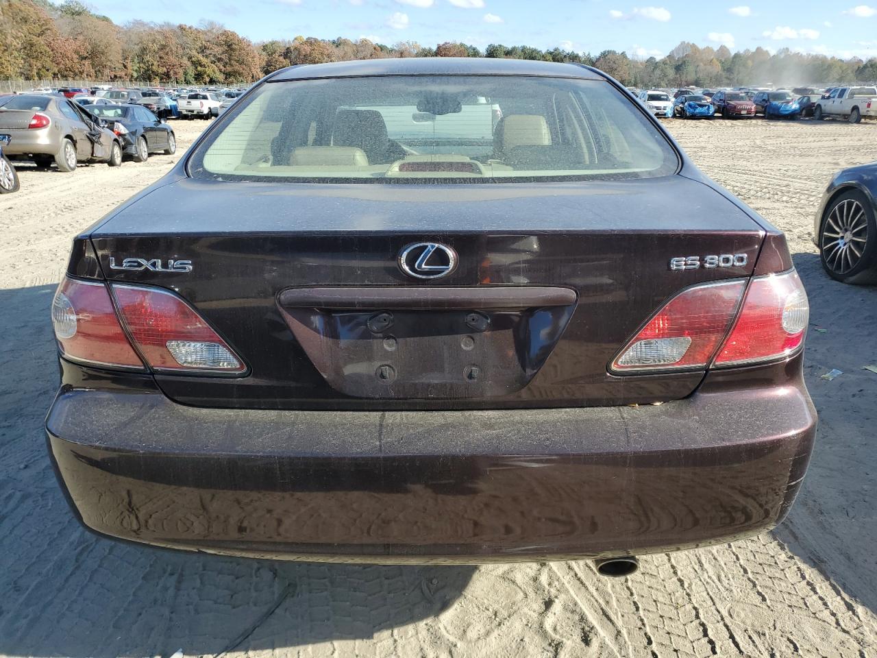 2003 Lexus Es 300 VIN: JTHBF30GX30092887 Lot: 78981794