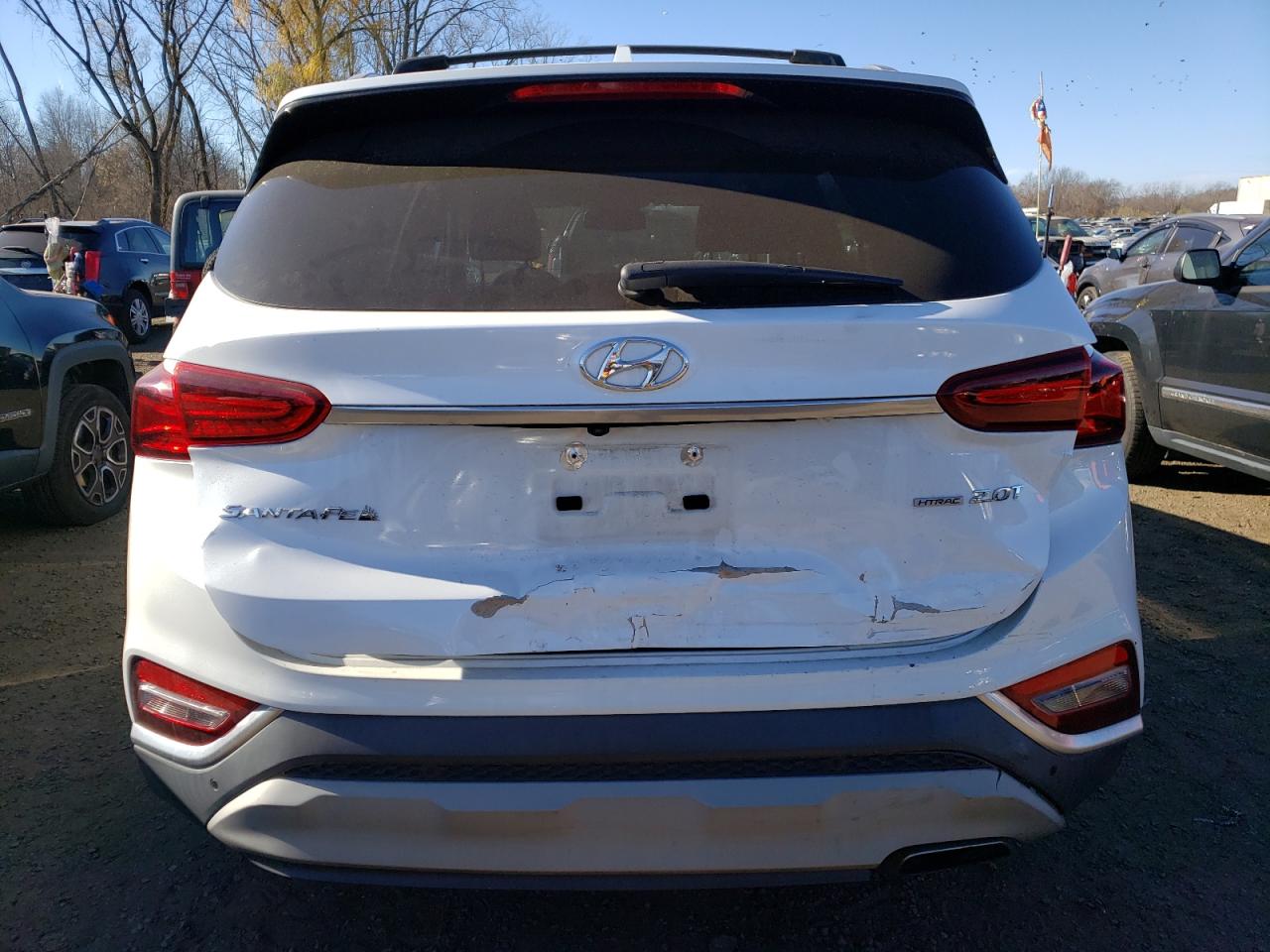 2020 Hyundai Santa Fe Sel VIN: 5NMS3CAA7LH179876 Lot: 80627644