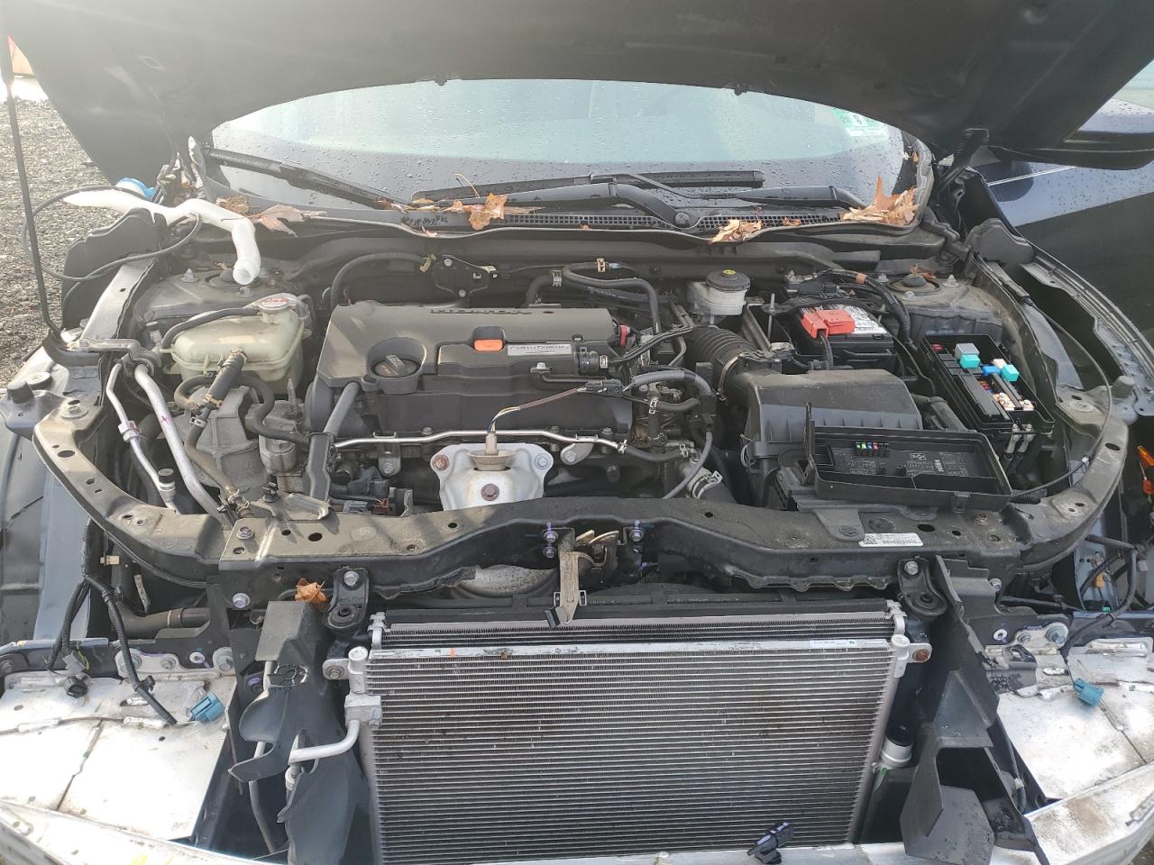 2016 Honda Civic - Image 11