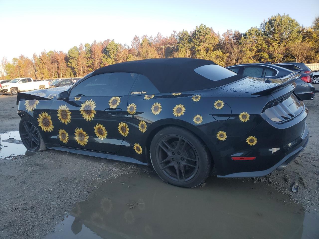 1FATP8UH5J5156357 2018 FORD MUSTANG - Image 2