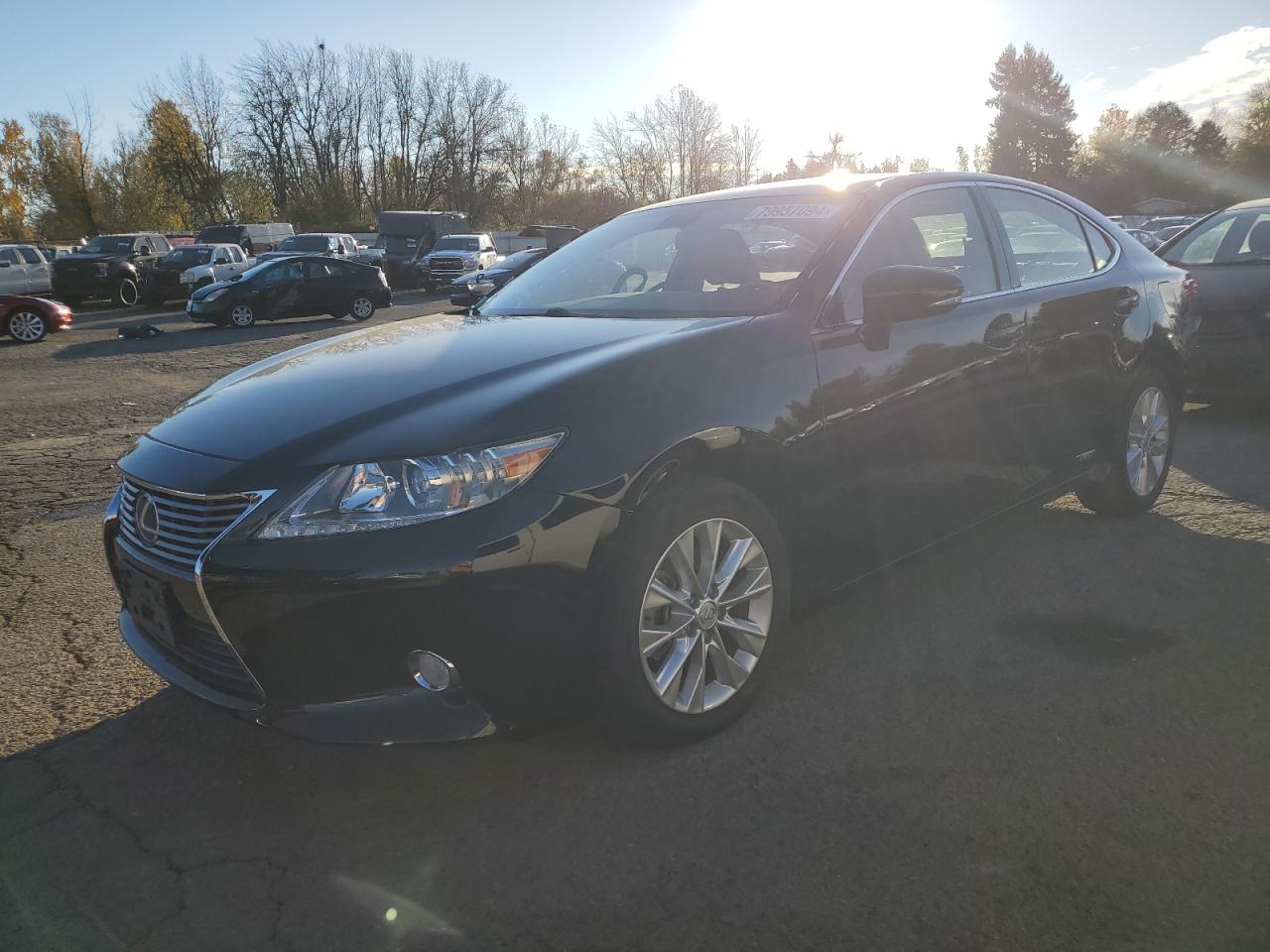 2013 LEXUS ES300