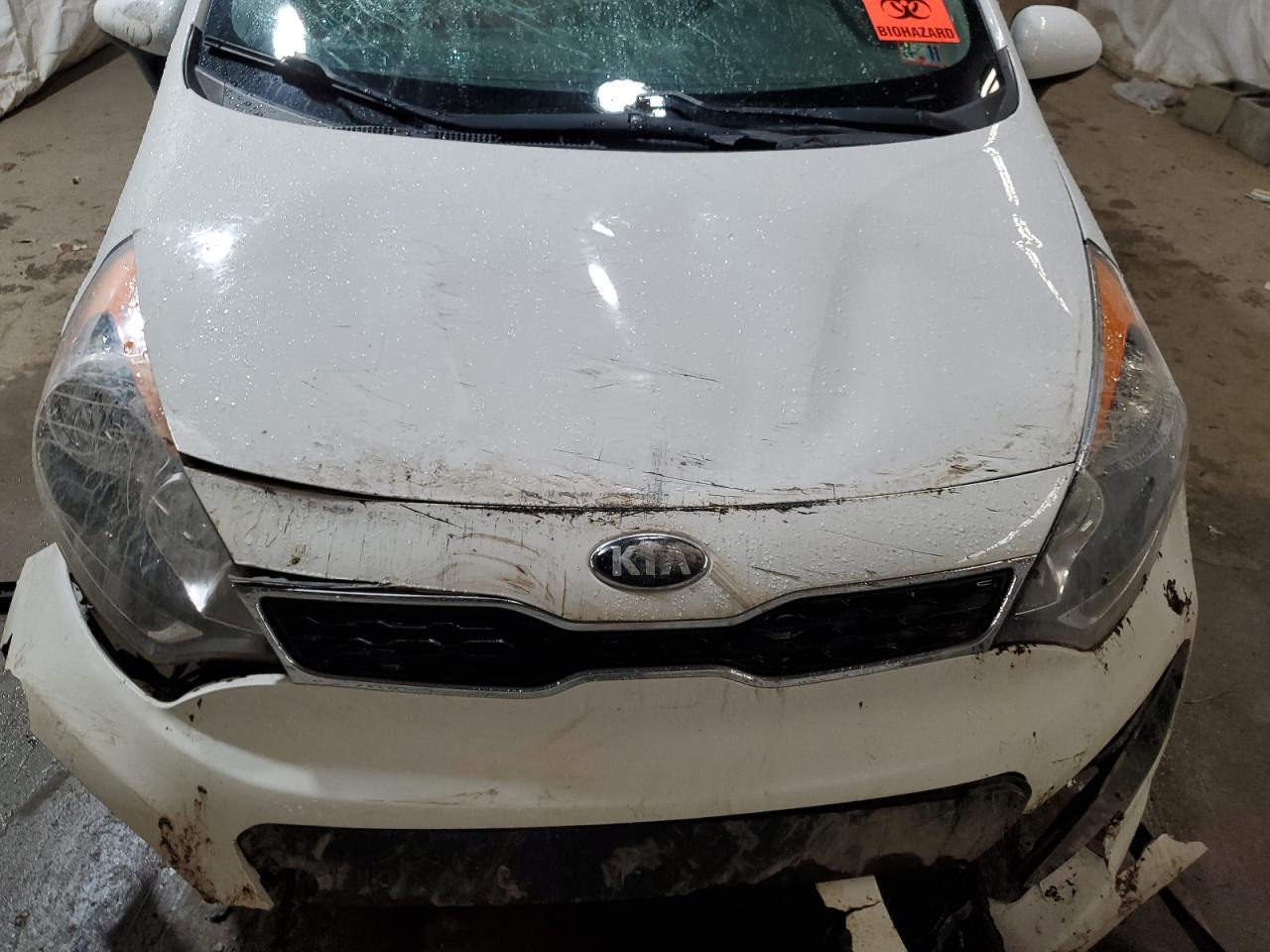 2013 Kia Rio Ex VIN: KNADN5A31D6250081 Lot: 80975754