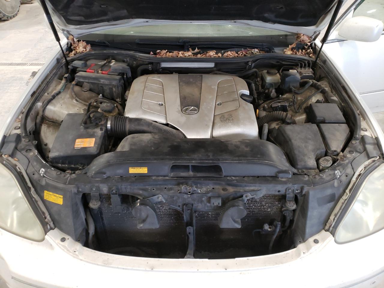 2004 Lexus LS - Image 11