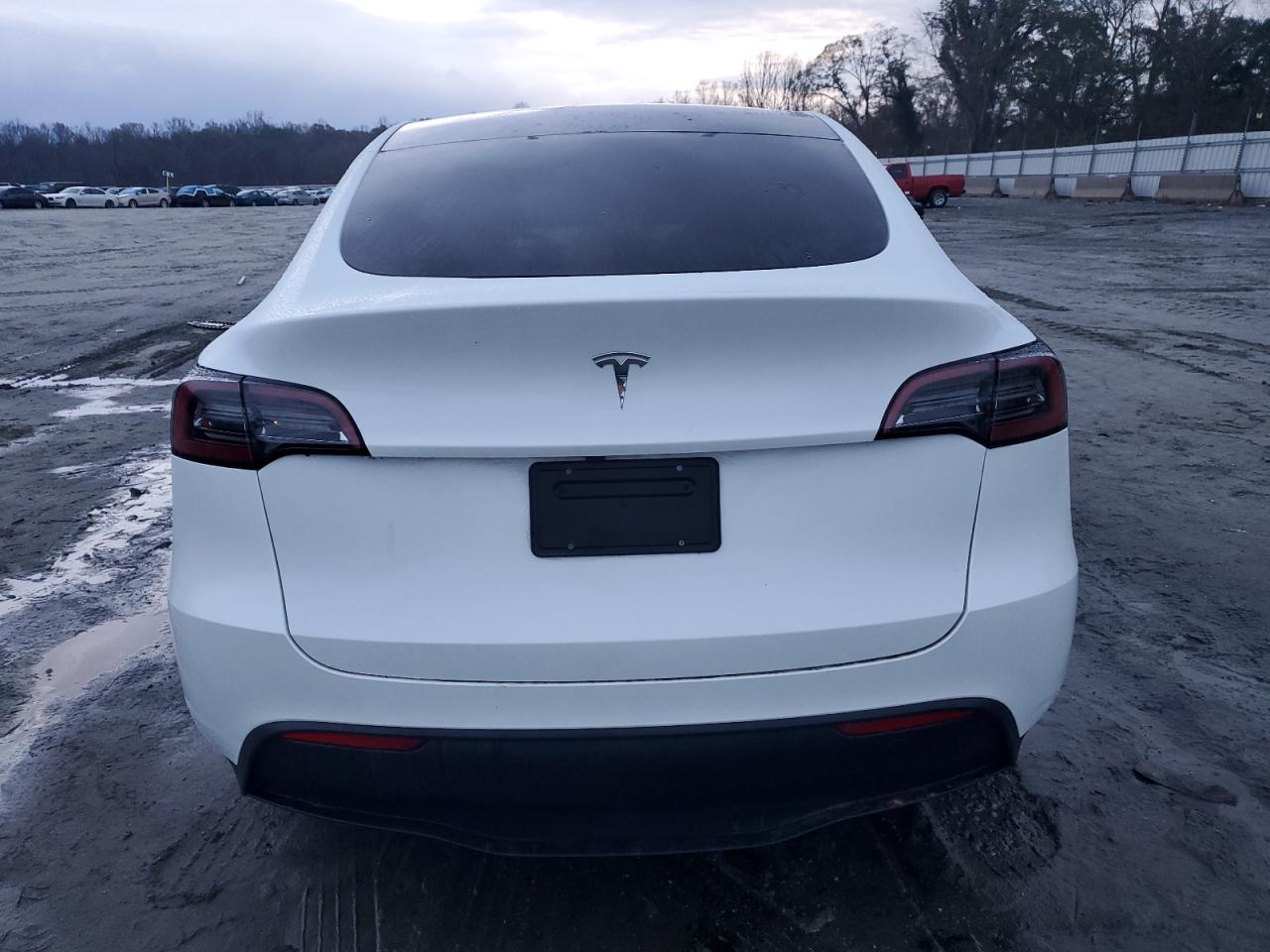 2024 Tesla Model Y VIN: 7SAYGDEDXRF088607 Lot: 81120634