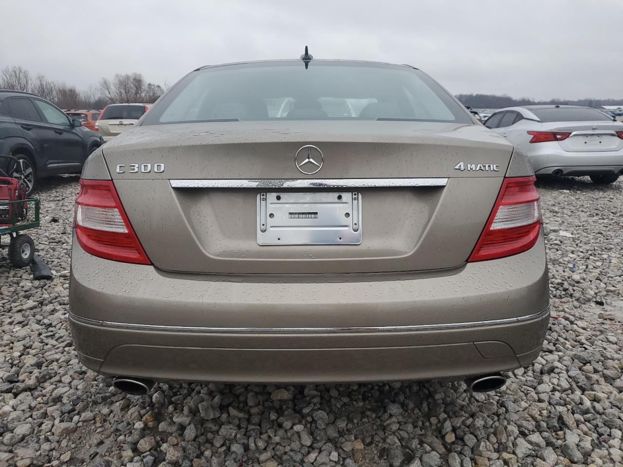 2010 Mercedes-Benz C 300 4Matic VIN: WDDGF8BB6AR117367 Lot: 79888114