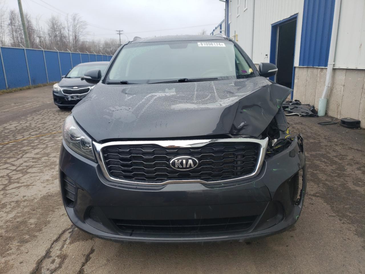 2019 Kia Sorento L VIN: 5XYPGDA30KG517936 Lot: 81098174