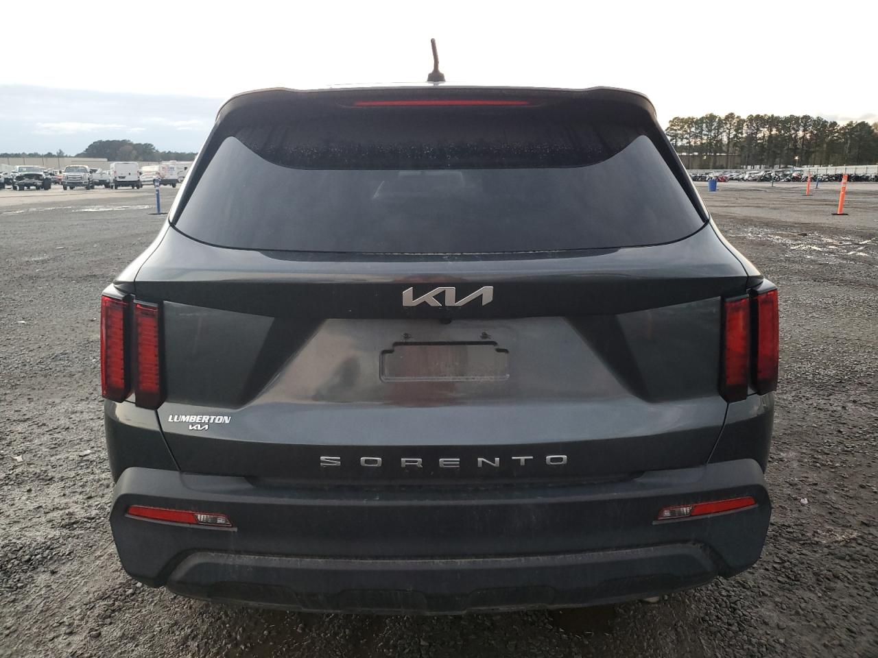 2022 Kia Sorento Lx VIN: 5XYRG4LC5NG097875 Lot: 79874894