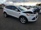 2015 Ford Escape Se for Sale in Kapolei, HI - Front End