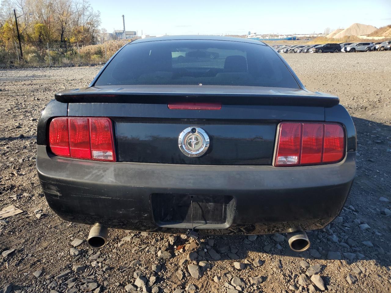 2009 Ford Mustang VIN: 1ZVHT80N295118018 Lot: 78826904