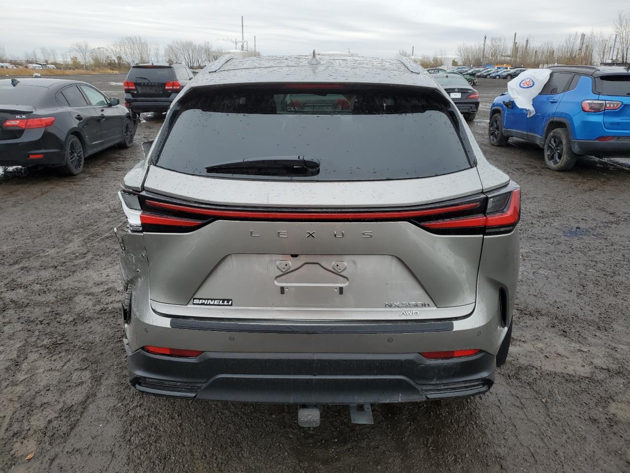 2024 Lexus NX - Image 6
