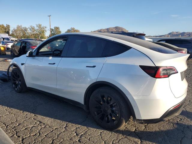  TESLA MODEL Y 2021 Белы