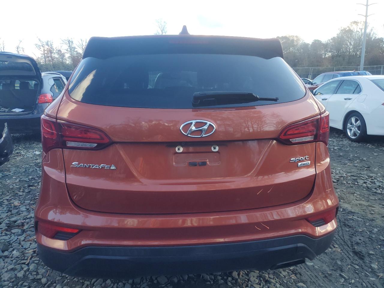 2017 Hyundai Santa Fe Sport VIN: 5XYZTDLBXHG440364 Lot: 80215454