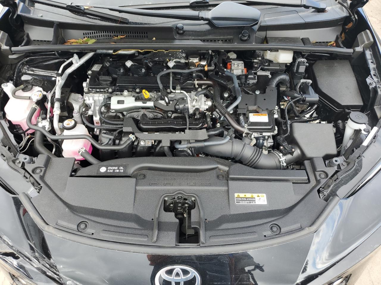 2023 Toyota Prius Le VIN: JTDACAAU3P3007858 Lot: 81261654