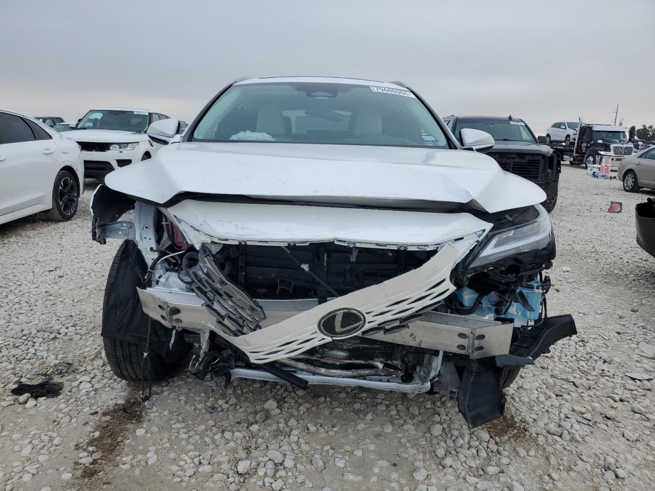 2024 Lexus RX - Image 5