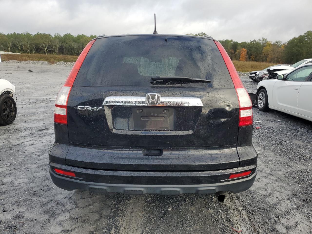 2010 Honda CR-V - Image 6