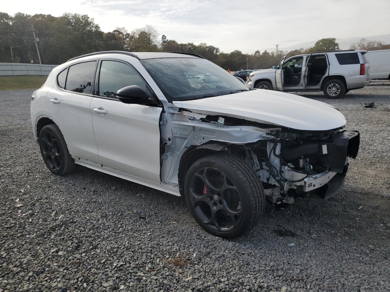 2024 Alfa Romeo Stelvio - Image 4