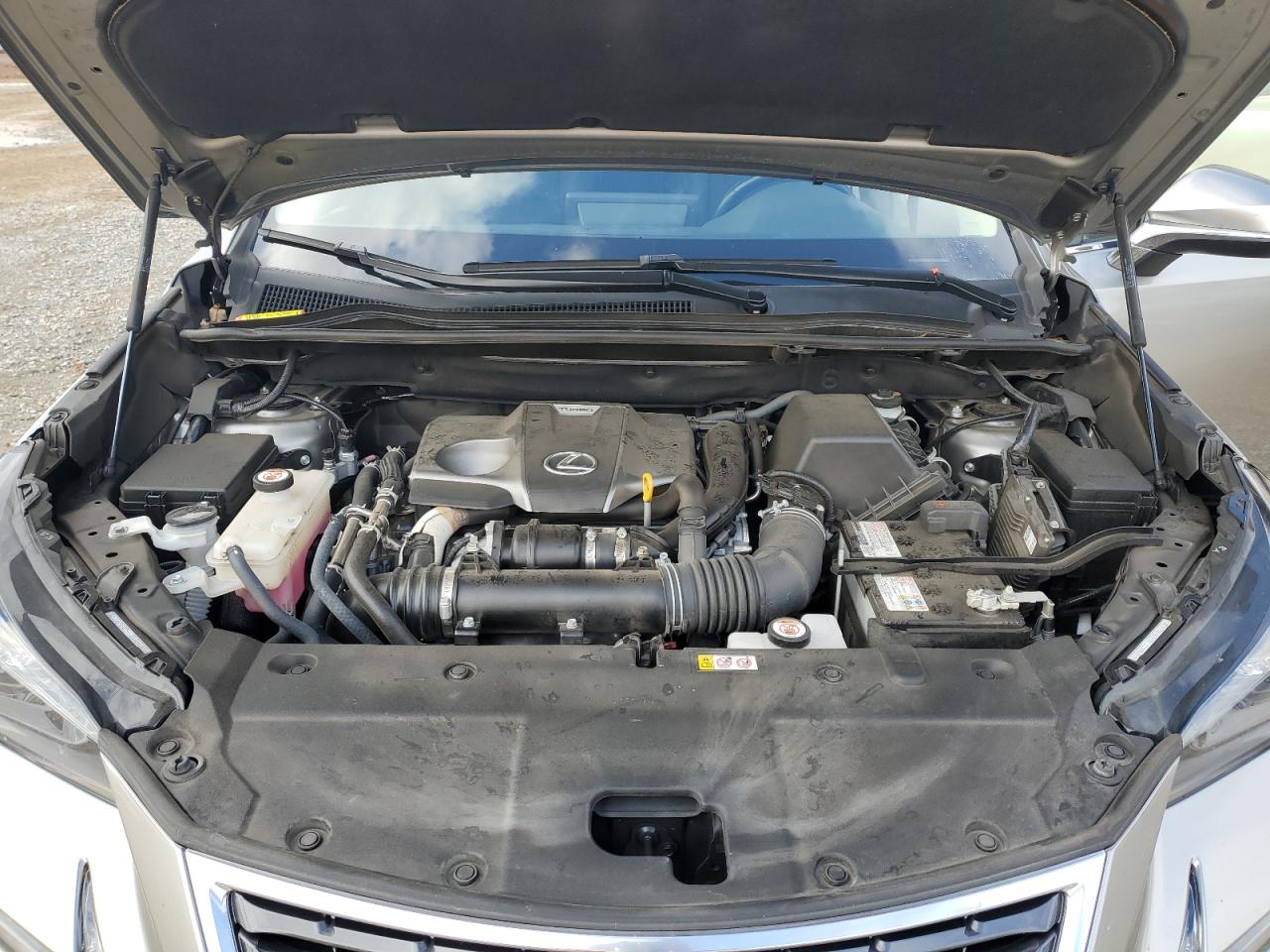 2021 Lexus Nx 300 Base VIN: JTJGARDZ9M2253267 Lot: 80745444