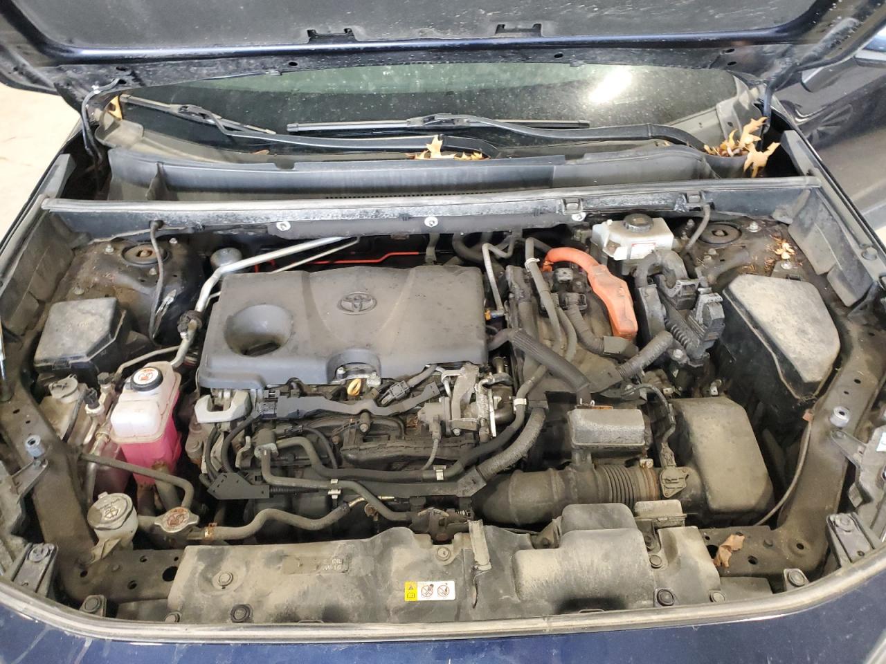 2019 Toyota RAV 4 - Image 12
