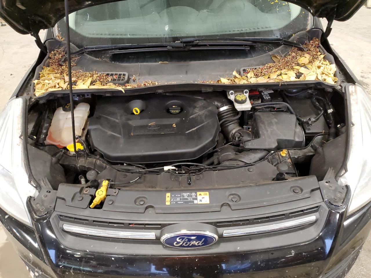 2016 Ford Escape - Image 12