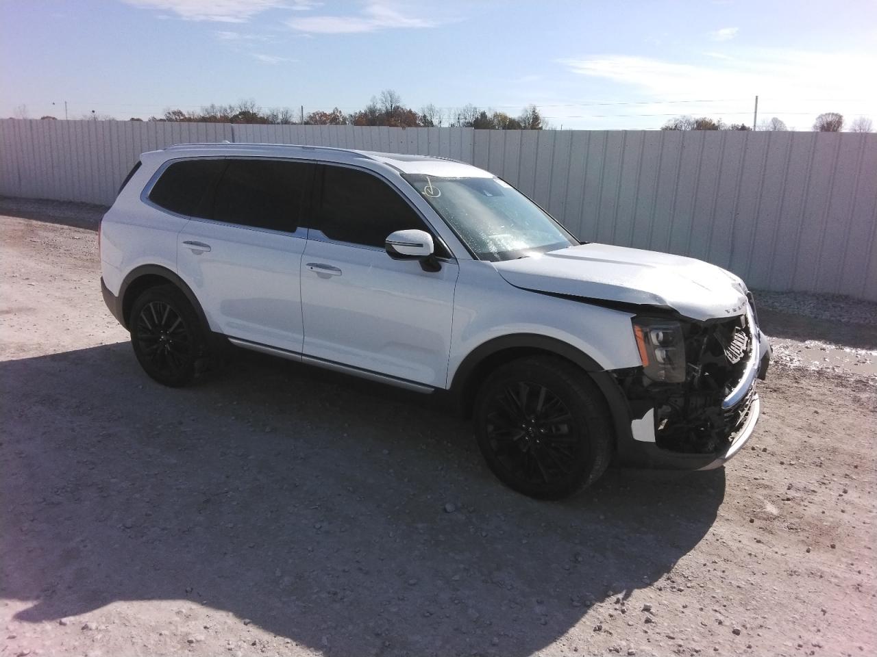 2020 Kia Telluride Sx VIN: 5XYP5DHC9LG014810 Lot: 78212964