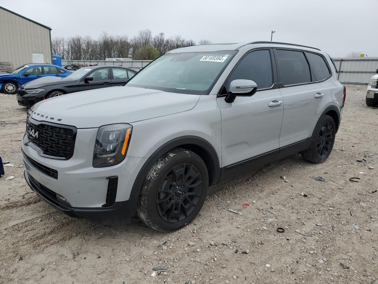 2022 Kia Telluride Sx VIN: 5XYP5DHC5NG233623 Lot: 80169394