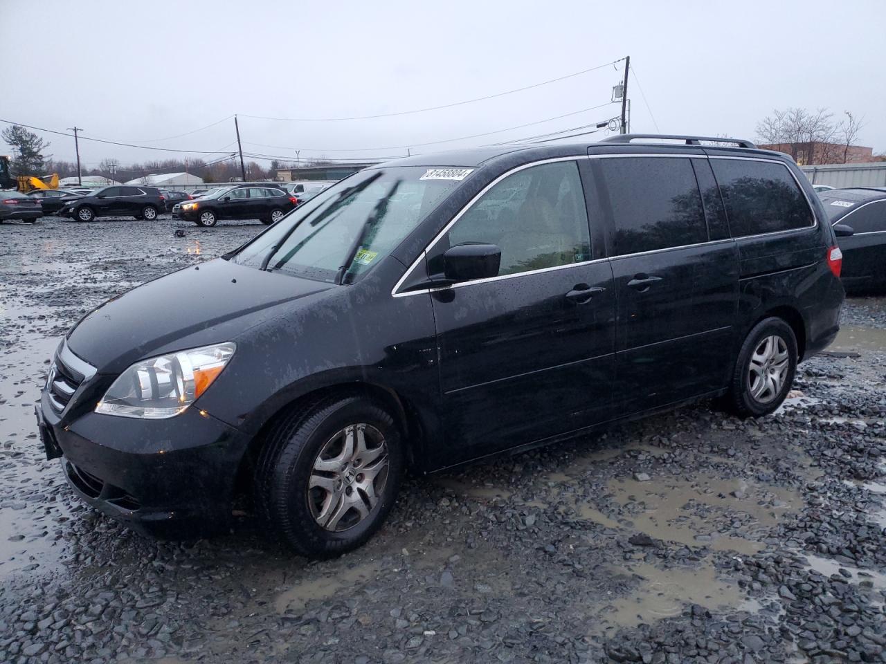 2007 Honda Odyssey Exl VIN: 5FNRL38647B137172 Lot: 81458804