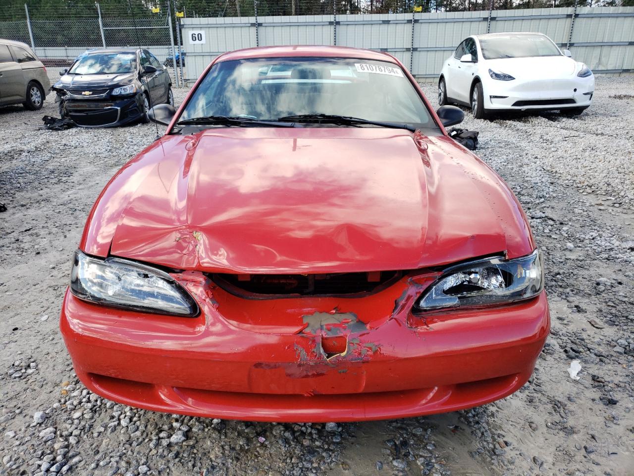 1998 Ford Mustang VIN: 1FAFP4046WF160122 Lot: 81078794